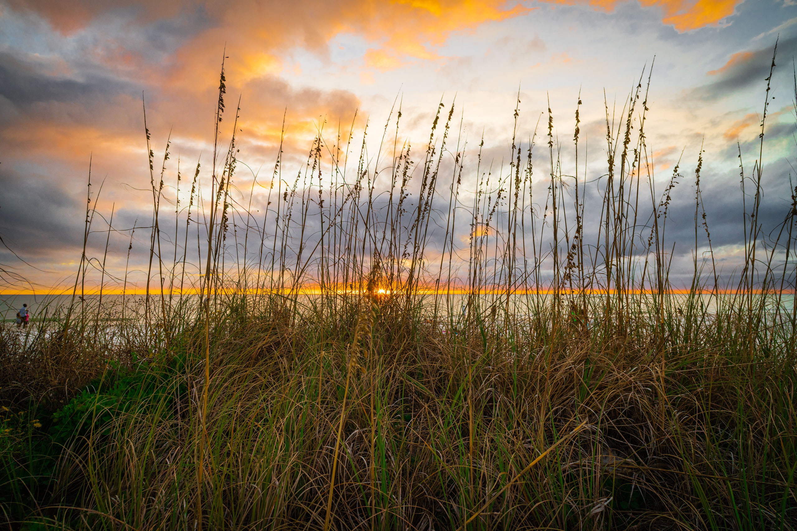 A serene beach scene at sunset. Tall, slender grasses in the foreground frame the view. The sky is a blend of soft oranges, yellows, and grays, with the sun partially hidden near the horizon, casting a warm glow over the calm ocean. A few people are visible in the distance, enjoying the tranquil setting. The overall atmosphere is peaceful and picturesque.
