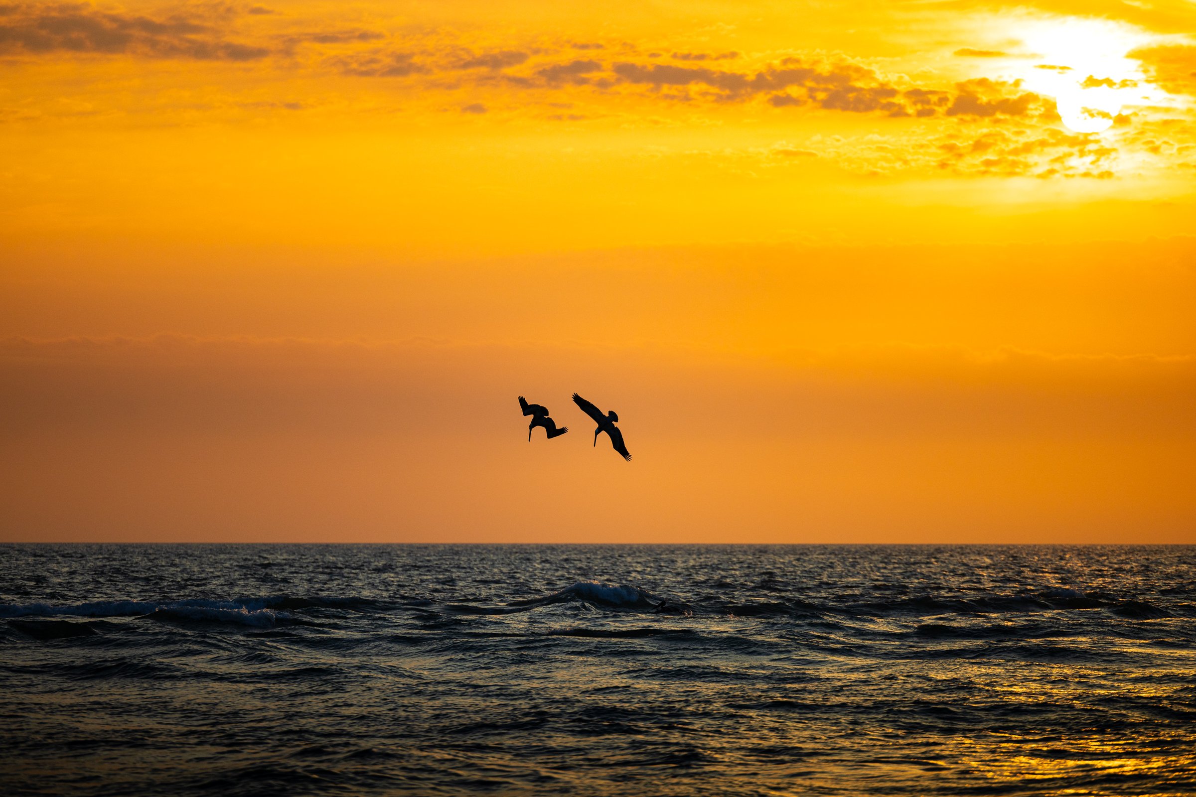Two birds fly against a vibrant sunset sky, silhouetted against hues of orange and yellow. The scene captures a serene moment where nature's elements meet, with gentle waves and a vast horizon. The overall atmosphere is peaceful and majestic, evoking a sense of wonder and tranquility.